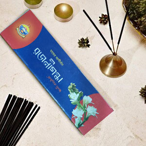 Ramakrishna Math (MSSK) | Organic Incense Stick - Herbal, Rajanigandha, 100 Sticks, Long-Lasting Aroma, Natural Ingredients (Set Of 12)
